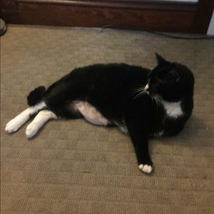 Meet your Posher, Casey